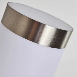 Applique Murale D'Exterieur Norburg Acier Inoxydable, 1 Lumiere, Detecteur De Mouvement