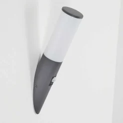 Applique Murale D'Exterieur Caserta Anthracite, 1 Lumiere, Detecteur De Mouvement