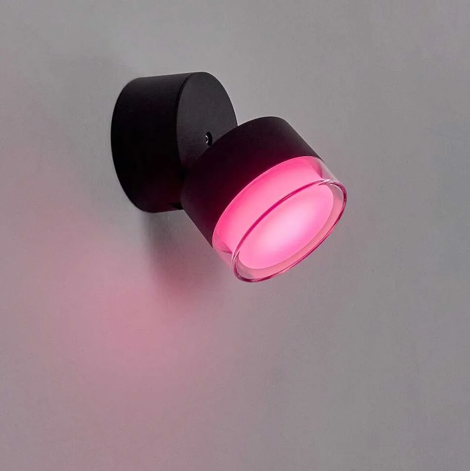 Applique Murale D'Exterieur Papagayos Led Anthracite, 1 Lumiere, Changeur De Couleurs