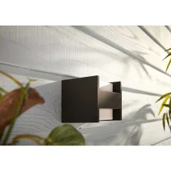 Applique Murale D'Exterieur Philips Hue White Fuzo Led Noir, 1 Lumiere