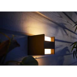 Applique Murale D'Exterieur Philips Hue White Fuzo Led Noir, 1 Lumiere