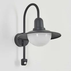 Applique Murale D'Exterieur Pohei Anthracite, 1 Lumiere, Detecteur De Mouvement