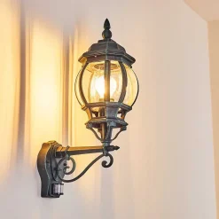 Applique Murale D'Exterieur Lentua Vert, Noir, 1 Lumiere, Detecteur De Mouvement