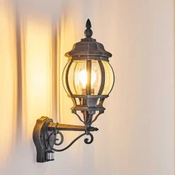 Applique Murale D'Exterieur Lentua Vert, Noir, 1 Lumiere, Detecteur De Mouvement