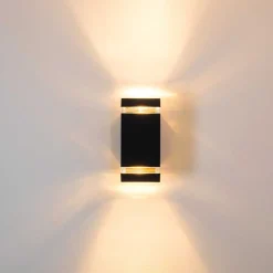 Applique Murale D'Exterieur Edevik Anthracite, 2 Lumieres