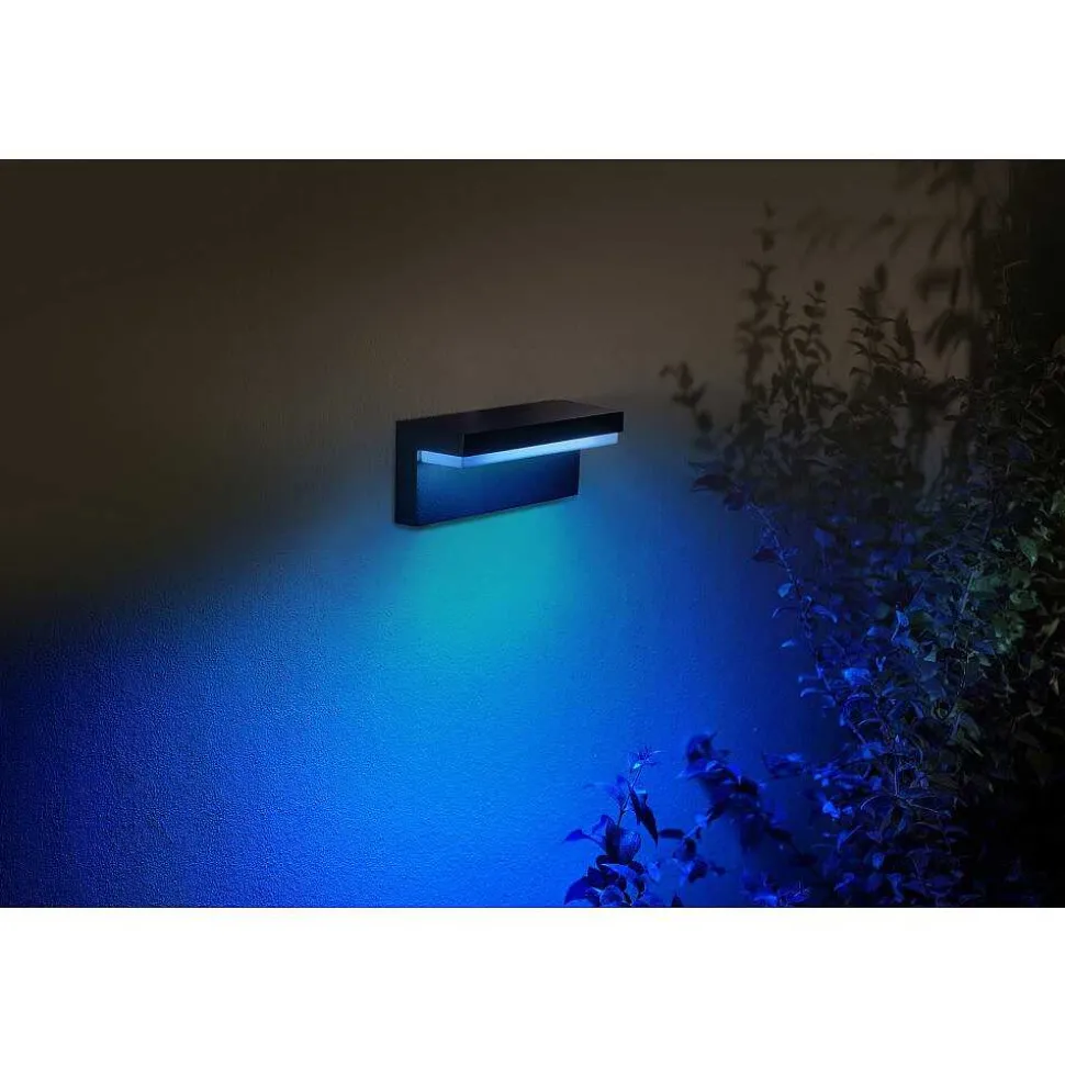 Applique Murale D'Exterieur Philips Hue Nyro Led Noir, 1 Lumiere, Changeur De Couleurs