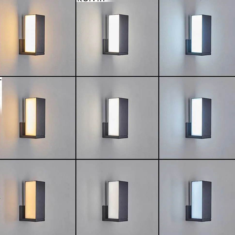 Applique Murale D'Exterieur Swanek Led Anthracite, 1 Lumiere