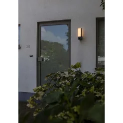 Applique Murale D'Exterieur Lutec Cuba Led Anthracite, 1 Lumiere, Detecteur De Mouvement