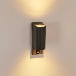 Applique Murale D'Exterieur Kingstown Anthracite, Transparent, 2 Lumieres, Detecteur De Mouvement