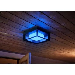 Applique Murale Philips Hue Ambiance White & Color Econic Led Noir, 1 Lumiere, Changeur De Couleurs