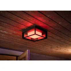 Applique Murale Philips Hue Ambiance White & Color Econic Led Noir, 1 Lumiere, Changeur De Couleurs
