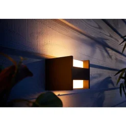 Applique Murale Philips Hue White Fuzo Led Noir, 1 Lumiere