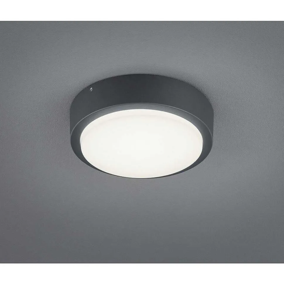 Applique Murale Trio Breg Led Anthracite, 1 Lumiere