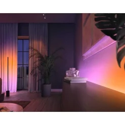 Bande Led Philips Hue Gradient Ambience Blanc, 1 Lumiere, Changeur De Couleurs