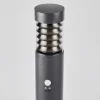 Borne Lumineuse Dakar Anthracite, 1 Lumiere, Detecteur De Mouvement