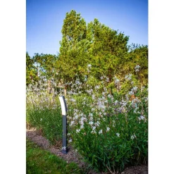 Borne Lumineuse Lutec Kira Led Anthracite, 1 Lumiere