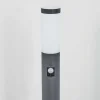 Borne Lumineuse Sessa Anthracite, 1 Lumiere, Detecteur De Mouvement