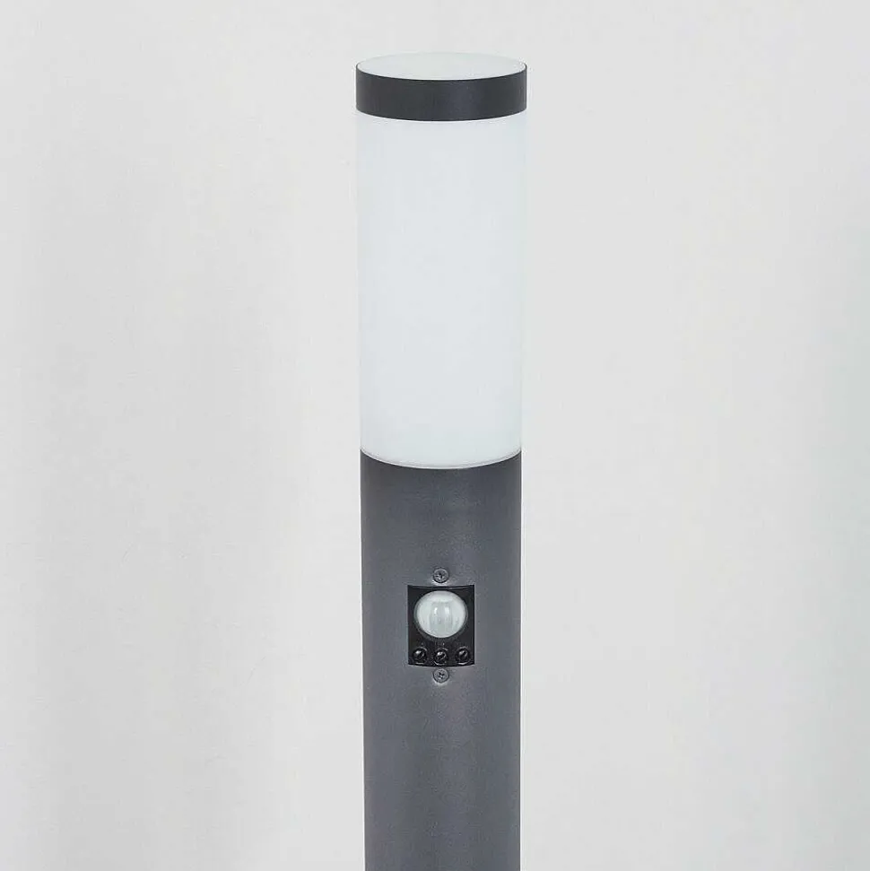Borne Lumineuse Sessa Anthracite, 1 Lumiere, Detecteur De Mouvement