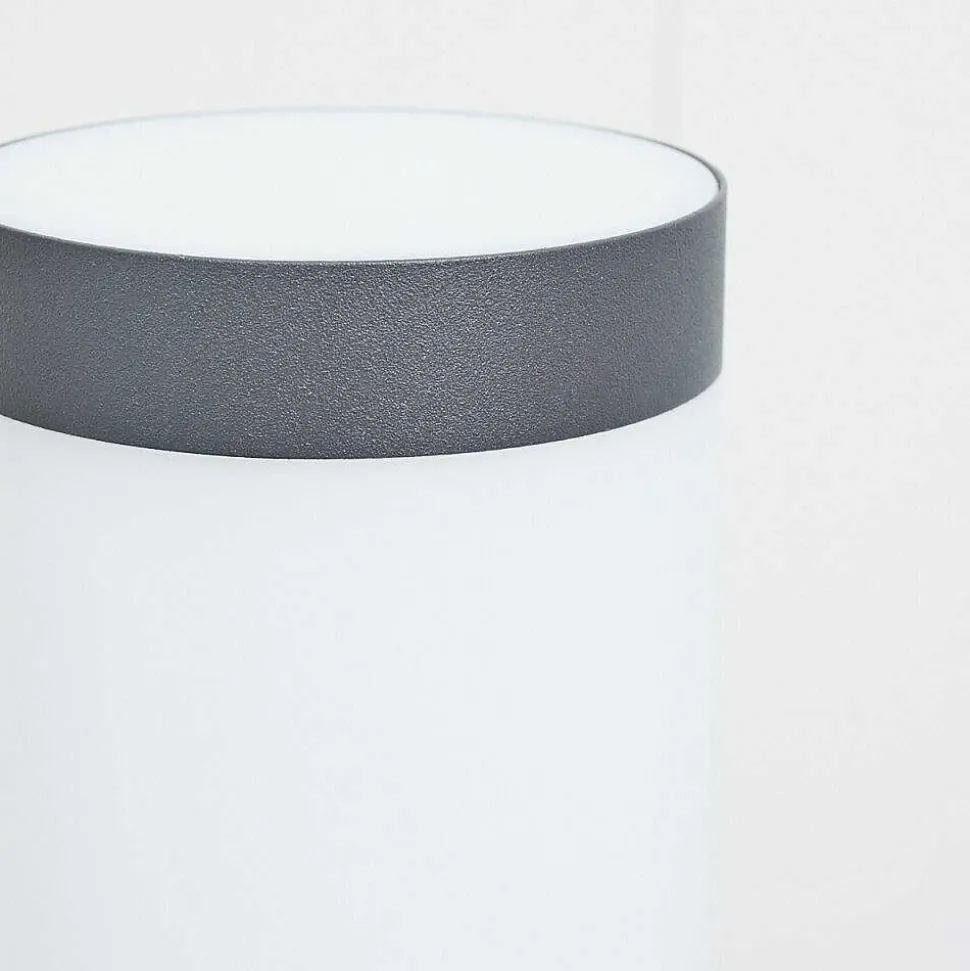 Borne Lumineuse Sessa Anthracite, 1 Lumiere, Detecteur De Mouvement