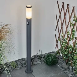 Borne Lumineuse Sessa Anthracite, 1 Lumiere, Detecteur De Mouvement