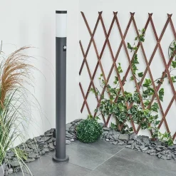 Borne Lumineuse Sessa Anthracite, 1 Lumiere, Detecteur De Mouvement