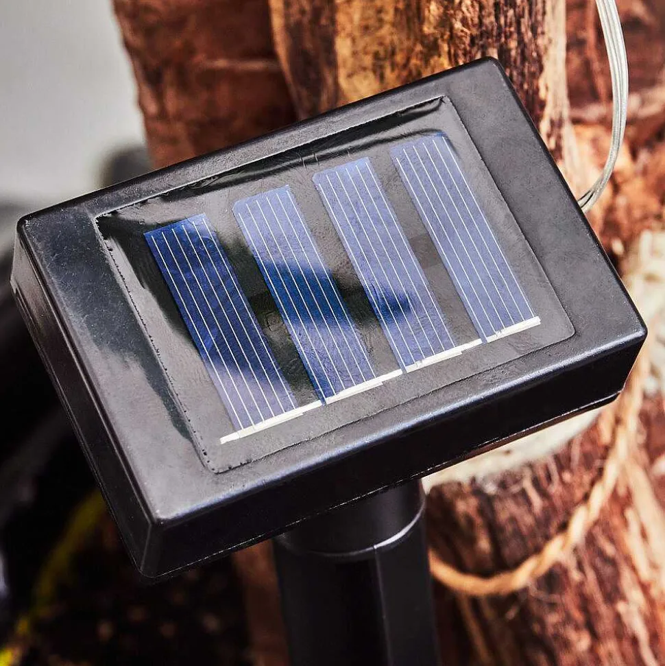 Guirlande Lumineuse Solaire Markhus Led Transparent, 10 Lumieres