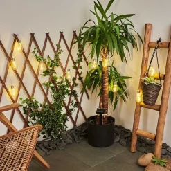 Guirlande Lumineuse Solaire Markhus Led Transparent, 10 Lumieres