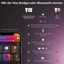 Guirlande Philips Hue Festavia Led Noir, 500 Lumieres, Changeur De Couleurs