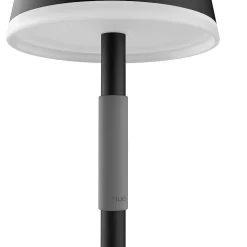 Lampe A Poser Philips Hue Go Led Gris, Noir, 1 Lumiere, Changeur De Couleurs