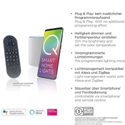 Lampe De Table Paul Neuhaus Q-Vito Led Laiton, 1 Lumiere, Telecommandes