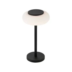Lampe De Table Paul Neuhaus Q-Etienne Led Noir, 1 Lumiere, Telecommandes