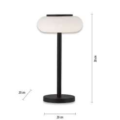 Lampe De Table Paul Neuhaus Q-Etienne Led Noir, 1 Lumiere, Telecommandes