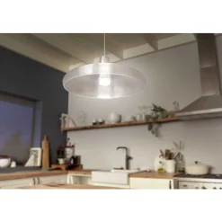 Led E27 15,5 Watt 2200 - 6500 Kelvin 1100 Lumen Philips Hue White