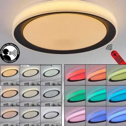 Plafonnier Gladstone Led Noir, Blanc, 1 Lumiere, Telecommandes