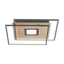 Plafonnier Paul Neuhaus Q-Amira Led Noir, 1 Lumiere, Telecommandes