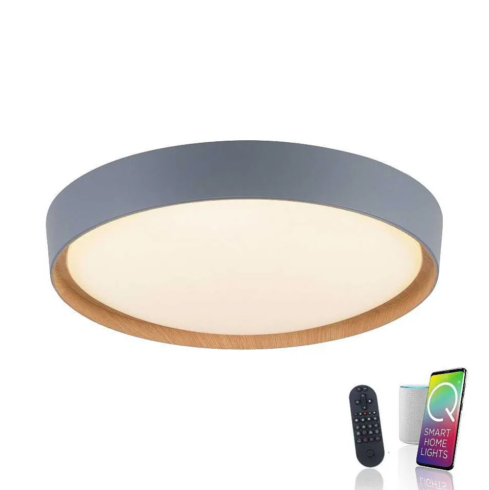 Plafonnier Paul Neuhaus Q-Emilia Led Gris, Couleur Bois, 1 Lumiere, Telecommandes