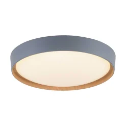 Plafonnier Paul Neuhaus Q-Emilia Led Gris, Couleur Bois, 1 Lumiere, Telecommandes