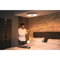 Plafonnier Philips Hue Still Led Noir, 1 Lumiere, Telecommandes