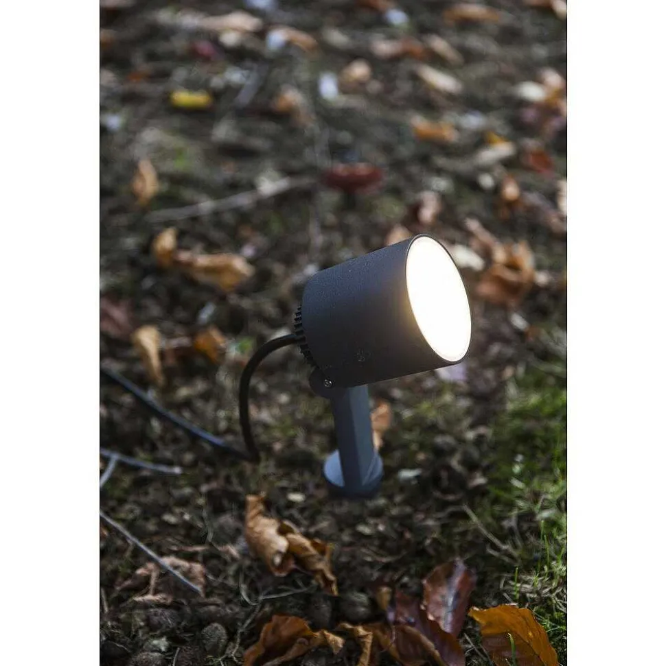Spot De Jardin Lutec Explorer Led Anthracite, 1 Lumiere