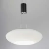 Suspension Paul Neuhaus Q-Etienne Led Noir, 1 Lumiere, Telecommandes