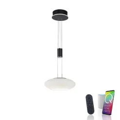 Suspension Paul Neuhaus Q-Etienne Led Noir, 1 Lumiere, Telecommandes
