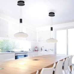 Suspension Paul Neuhaus Q-Etienne Led Noir, 1 Lumiere, Telecommandes