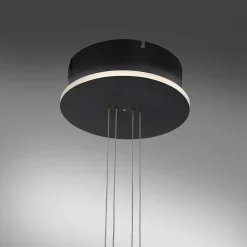 Suspension Paul Neuhaus Q-Etienne Led Noir, 1 Lumiere, Telecommandes