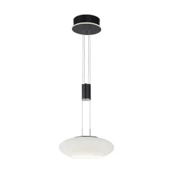 Suspension Paul Neuhaus Q-Etienne Led Noir, 1 Lumiere, Telecommandes