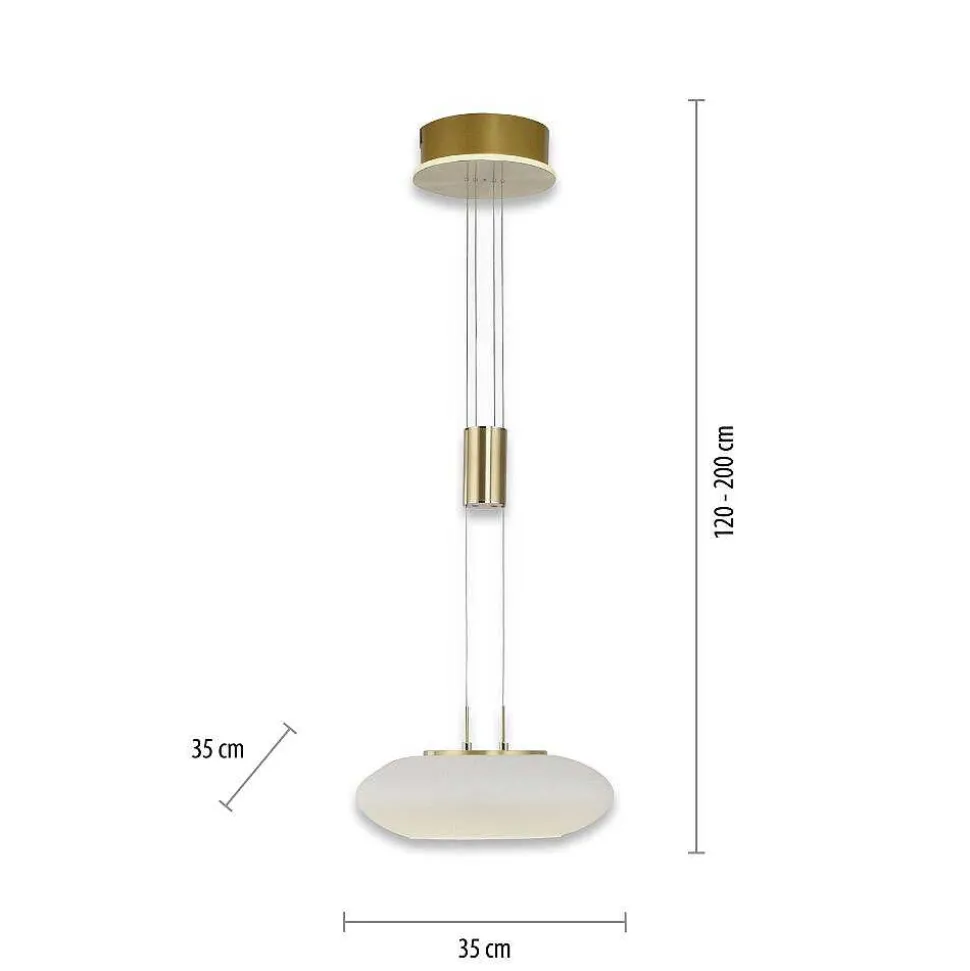Suspension Paul Neuhaus Q-Etienne Led Laiton, 1 Lumiere, Telecommandes