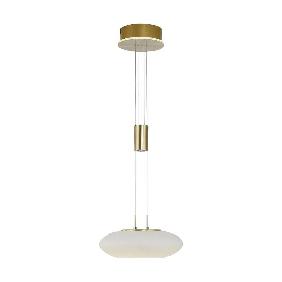 Suspension Paul Neuhaus Q-Etienne Led Laiton, 1 Lumiere, Telecommandes