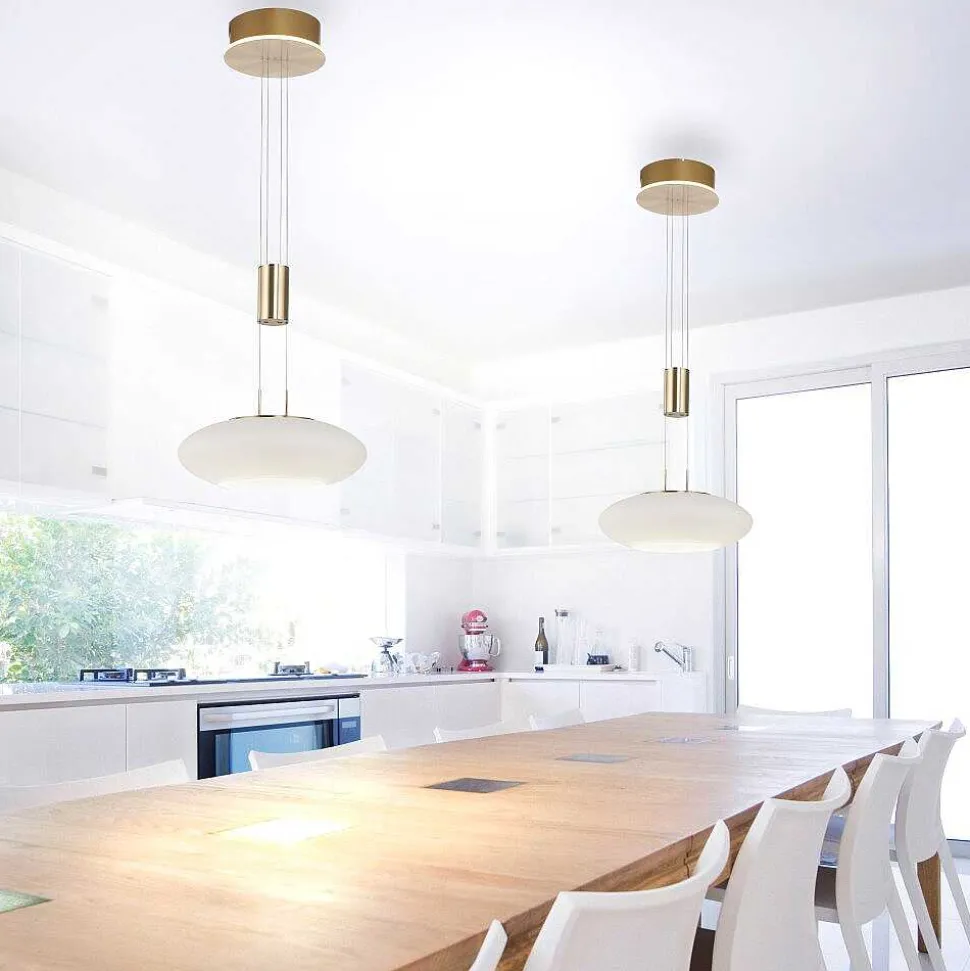 Suspension Paul Neuhaus Q-Etienne Led Laiton, 1 Lumiere, Telecommandes