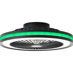 Ventilateur De Plafond Brilliant Palmero Noir, 1 Lumiere, Telecommandes, Changeur De Couleurs