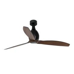 Ventilateur De Plafond Faro Barcelona Eter Noir